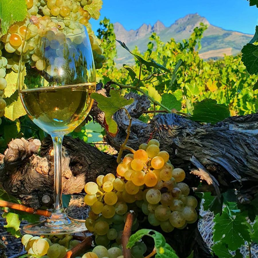 Raithby Winelands Historical Cottage エクステリア 写真